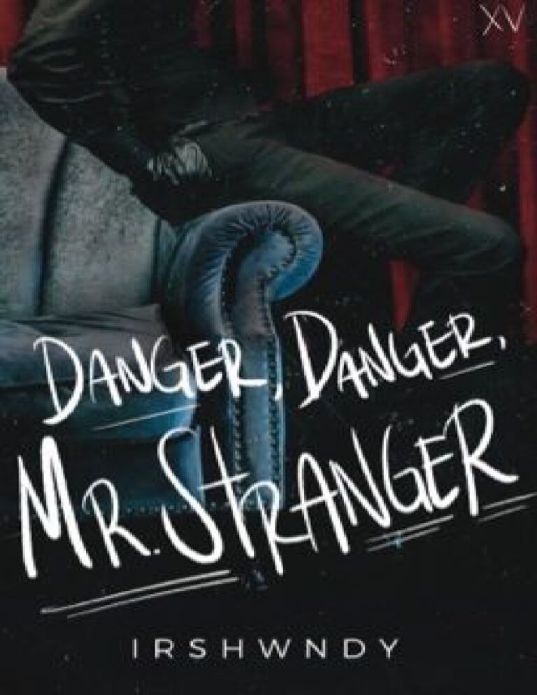 Danger Danger Mr Stranger Tagalog Edition Irshwndy Kitap Kapağı