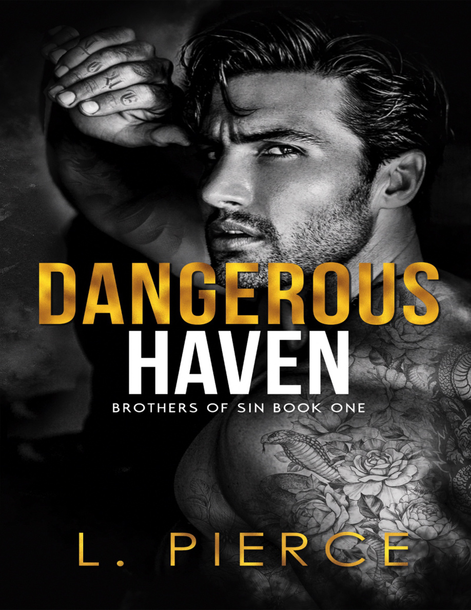 Dangerous Brother Cynthia Havendean Kitap Kapağı