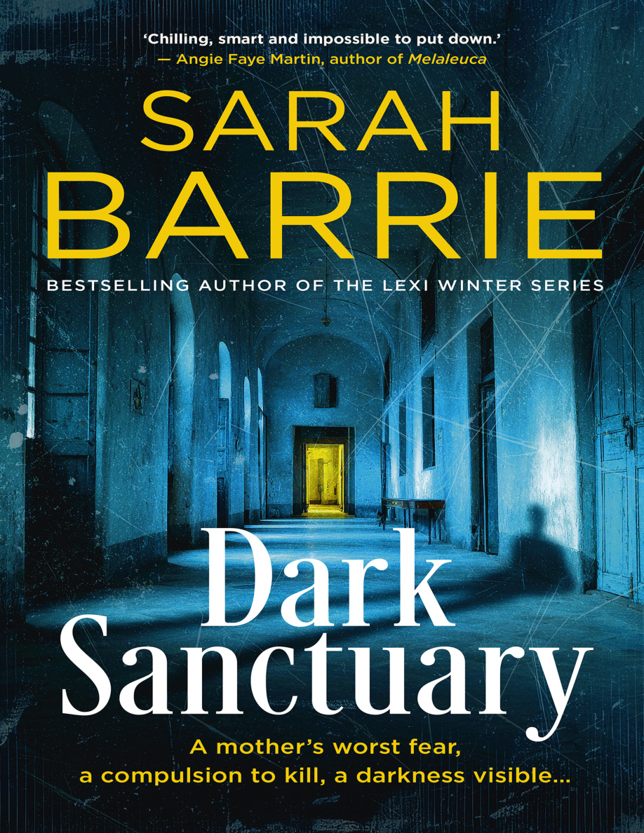 Dark Sanctuary PDF Download