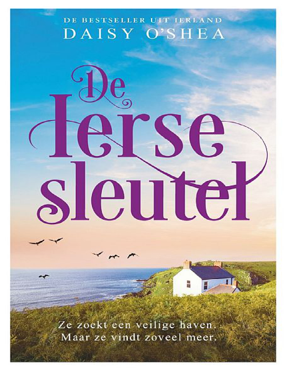 De Ierse sleutel PDF Download