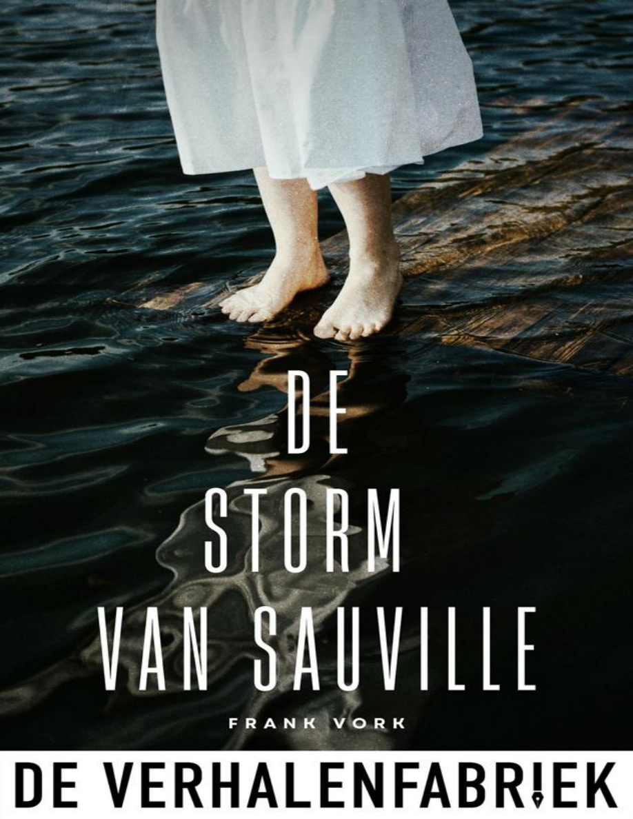De Storm van Sauville PDF Download