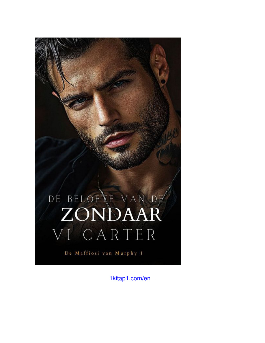 De belofte van de zondaar Dutch Edition Vi carter Kitap Kapağı
