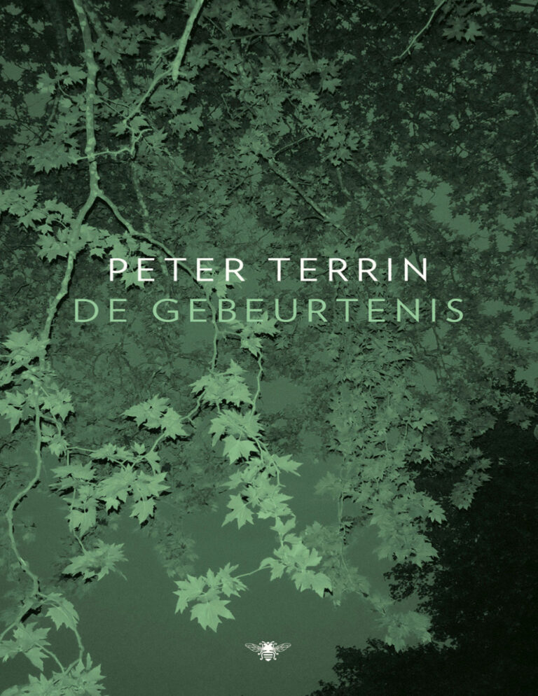 De gebeurtenis Dutch Edition Peter Terrin Kitap Kapağı