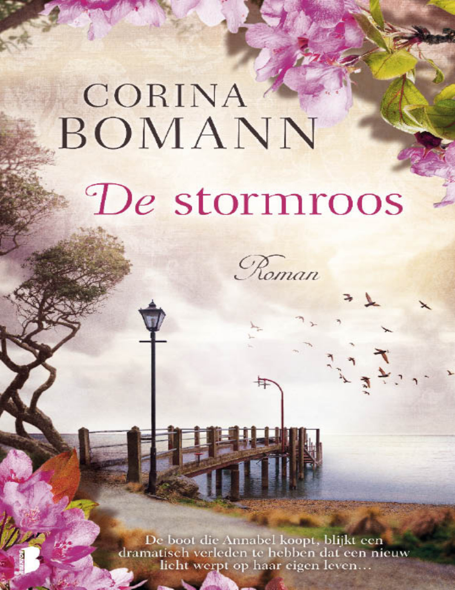 De stormroos PDF Download