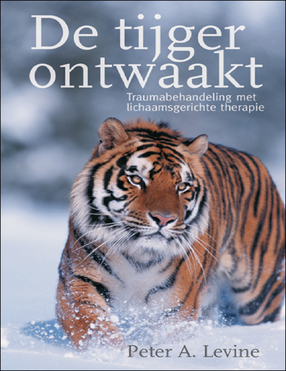 De tijger ontwaakt PDF Download