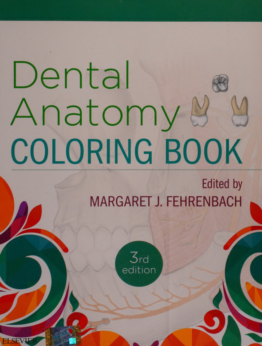 Dental Anatomy Coloring Book 3rd edition PDF Download