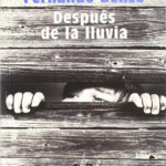 Despues de la lluvia Spanish Edition Fernando Benzo Kitap Kapağı