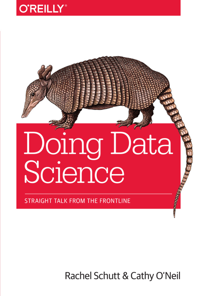 Doing Data Science Straight Talk Kitap Kapağı