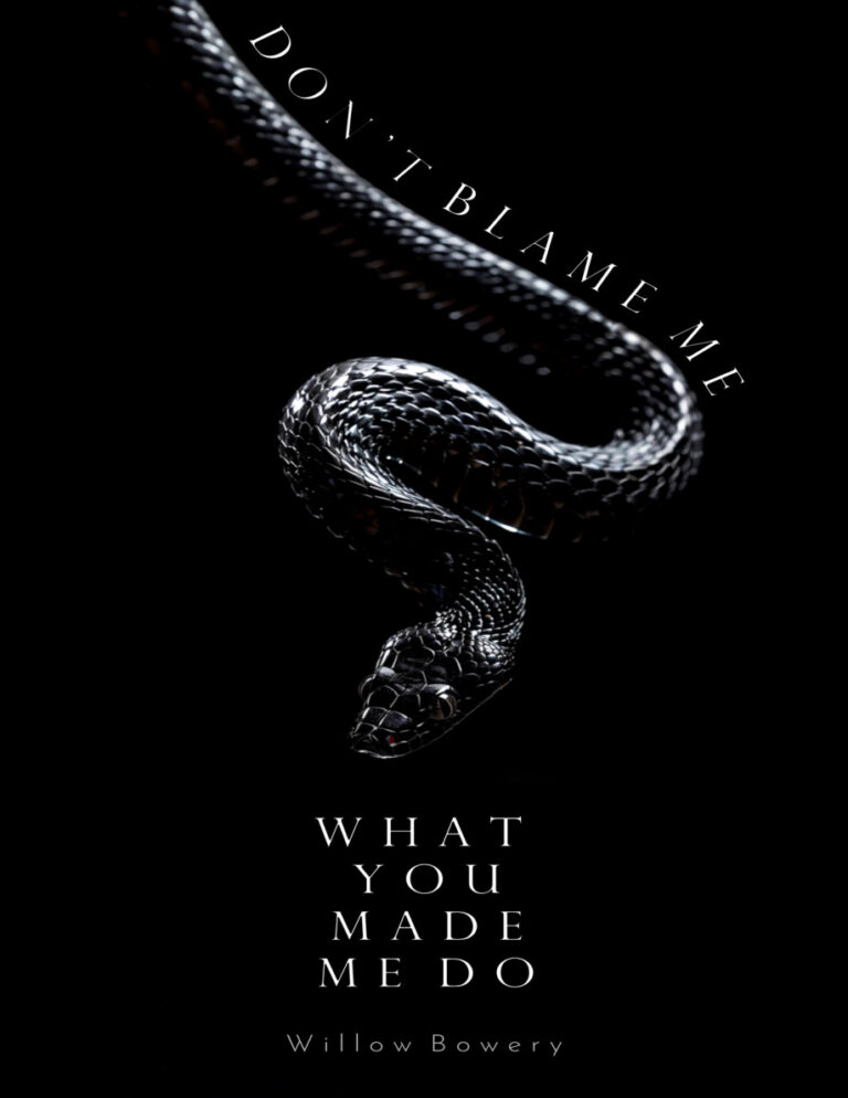 Dont Blame Me For What You Made Me Do WILLOW BOWERY Kitap Kapağı