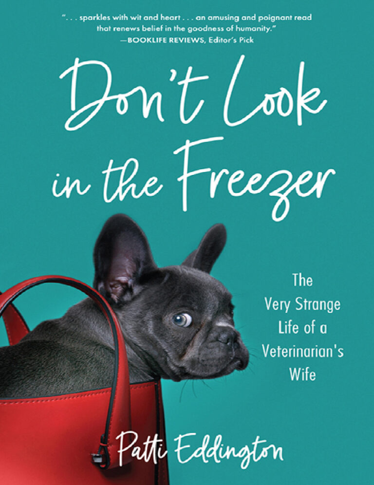 Dont Look in the Freezer Patti Eddington Kitap Kapağı
