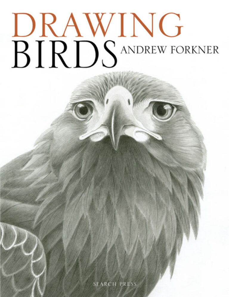 Drawing Birds Andrew Forkner Kitap Kapağı