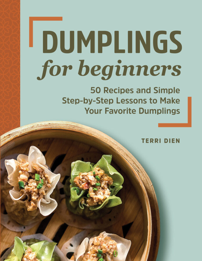 Dumplings for Beginners Terri Dien Kitap Kapağı