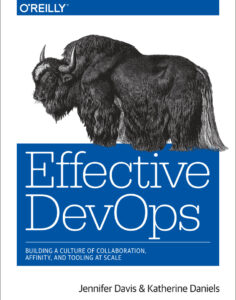Effective DevOps Building a Culture Kitap Kapağı