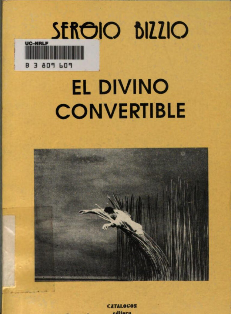 El divino convertible Spanish Edition Sergio Bizzio Kitap Kapağı