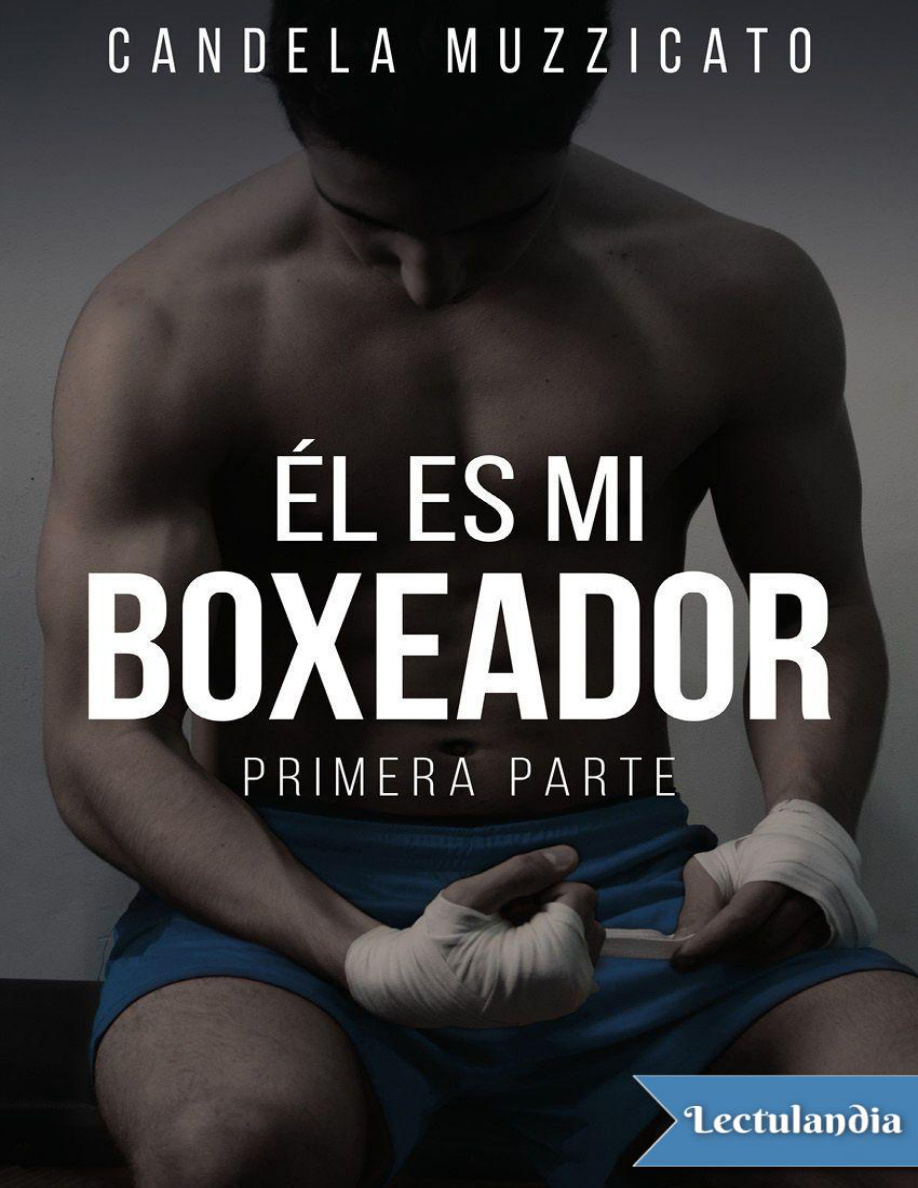 Él es mi boxeador PDF Download