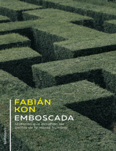 Emboscada Spanish Edition Fabian Kon Kitap Kapağı