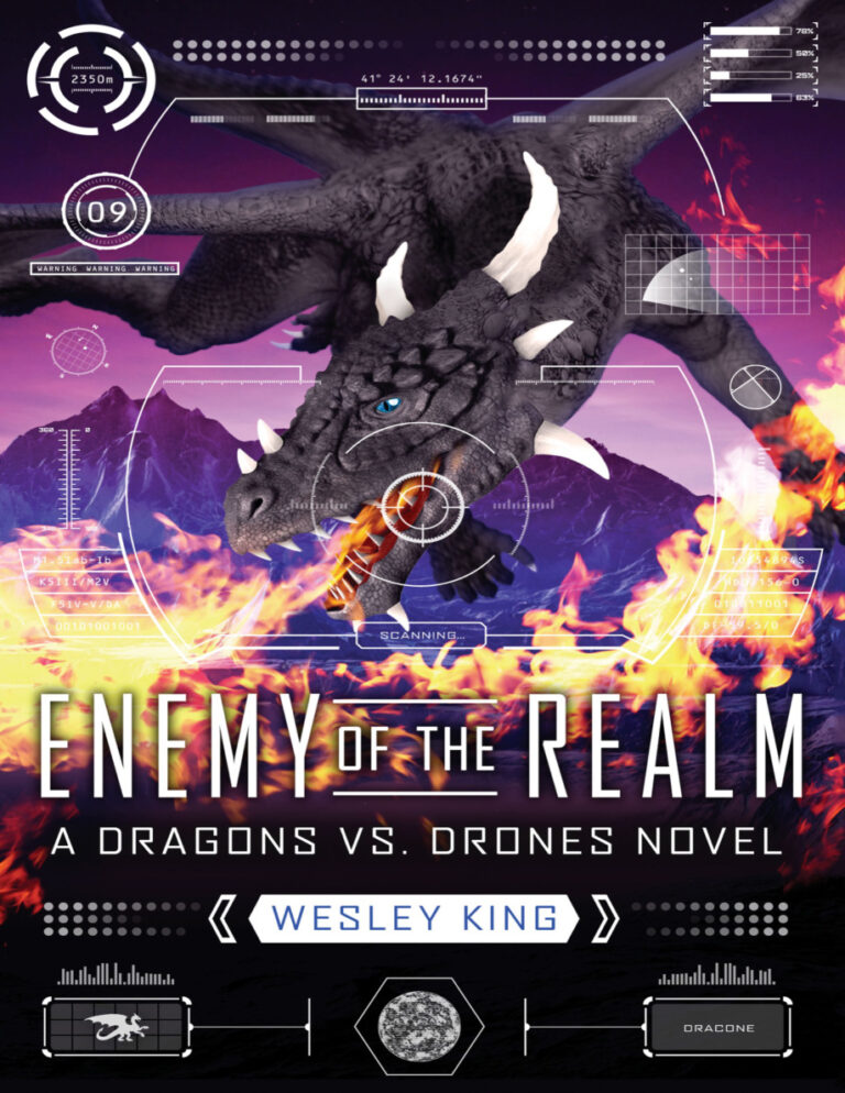 Enemy of the Realm Wesley king Kitap Kapağı