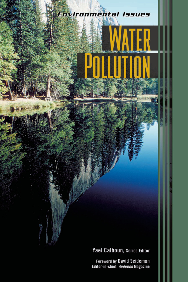 Environmental Issues Water Pollution Yael Calhoun Kitap Kapağı