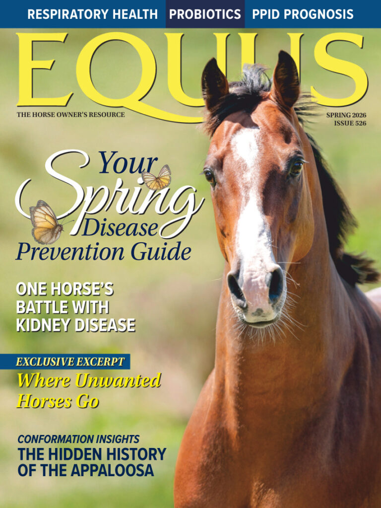 Equus Issue 526 Spring 2026 Equus Kitap Kapağı