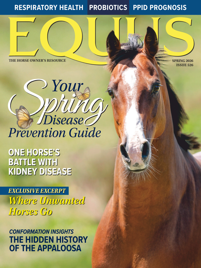 Equus Issue 526 Spring 2026 Equus Kitap Kapağı