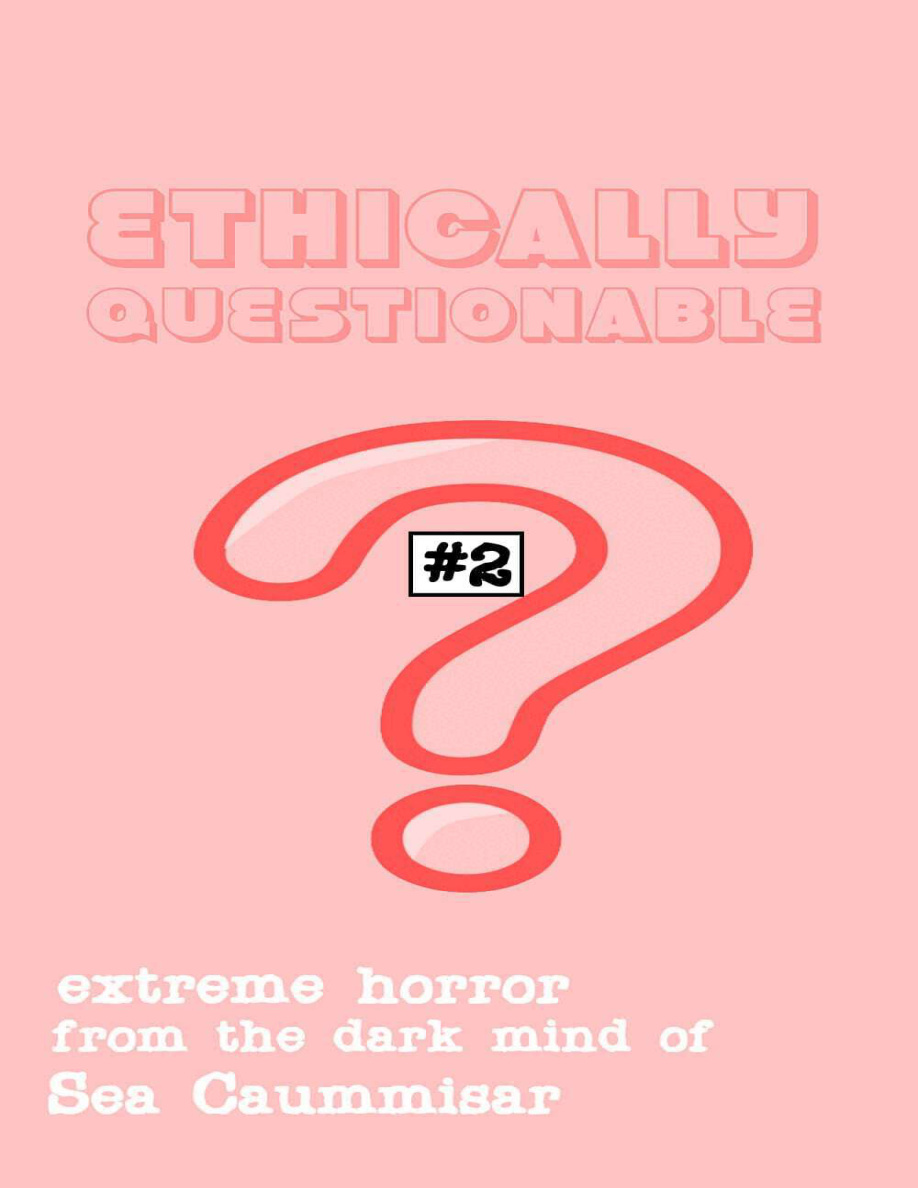 Ethically Questionable 2 Sea Caummisar Kitap Kapağı