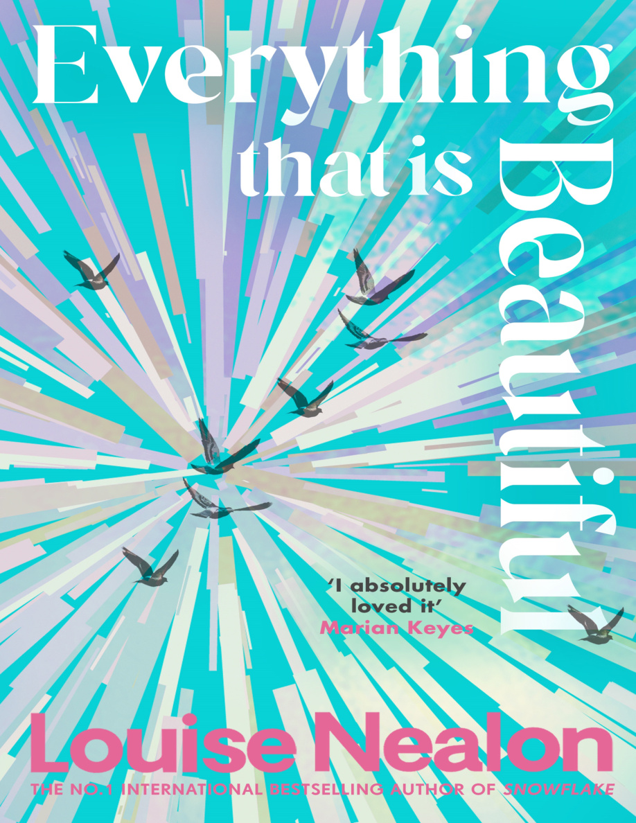 Everything That Is Beautiful PDF Download