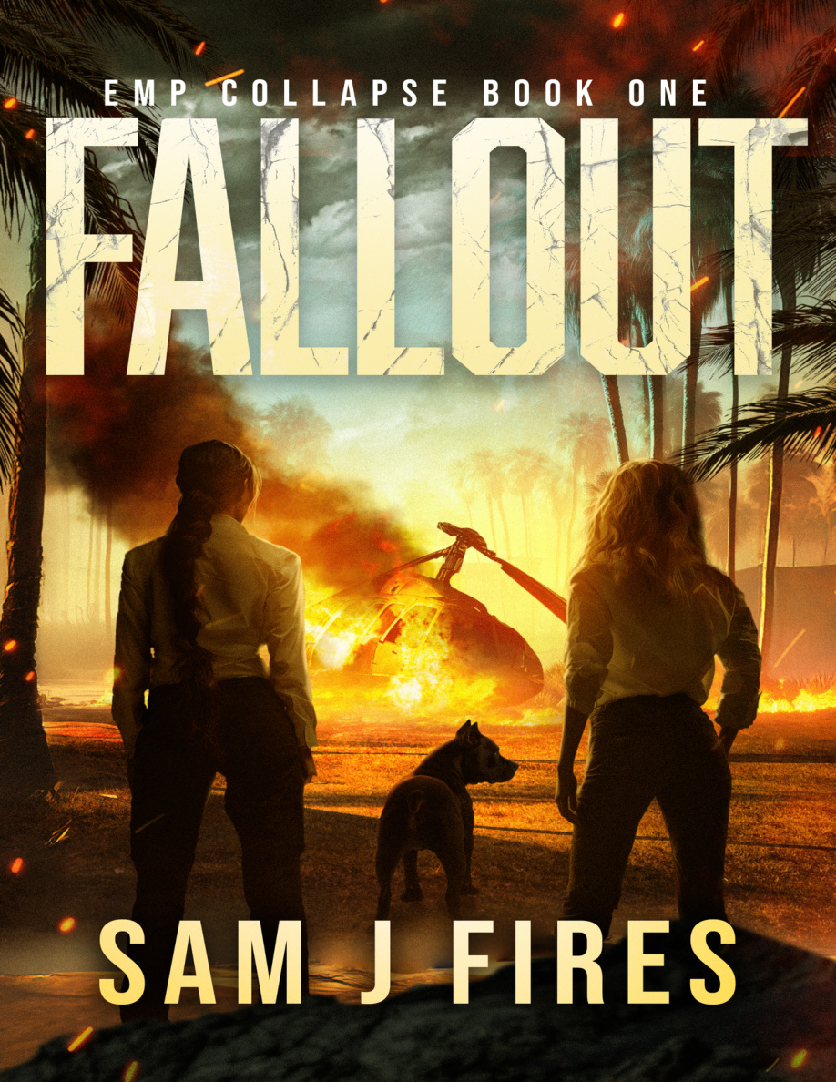 Fallout PDF Download
