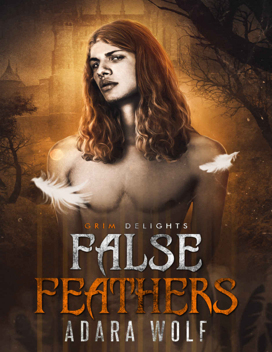 False Feathers Adara Wolf Kitap Kapağı
