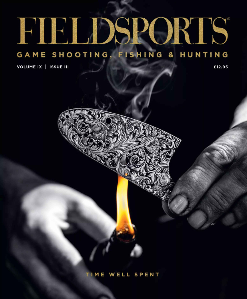 Fieldsports Volume 9 Issue 3 2026 PDF Download