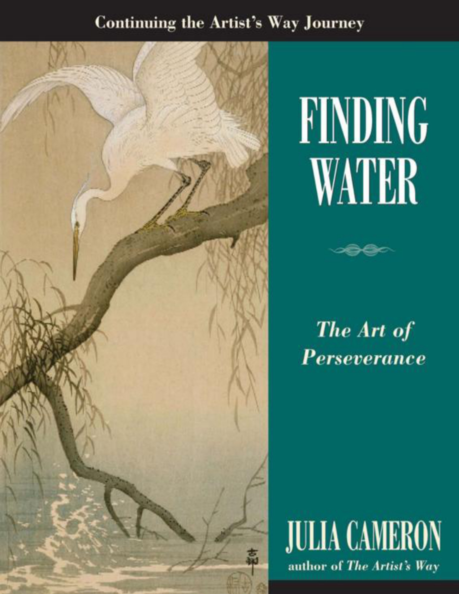 Finding Water Julia Cameron Kitap Kapağı