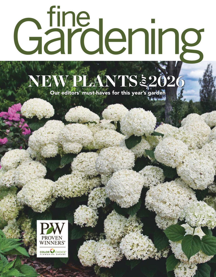 Fine Gardening New Plant For 2026 Spring 2026 PDF Download
