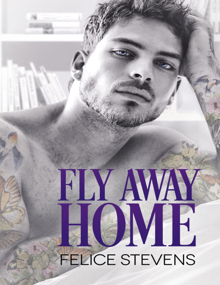 Fly away home Felice stevens Kitap Kapağı