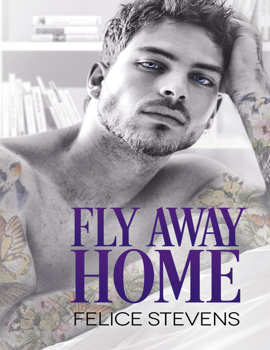Fly away home PDF Download