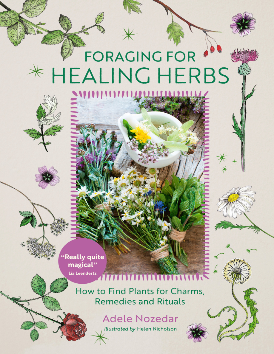 Foraging for Healing Herbs Adele Nozedar Kitap Kapağı