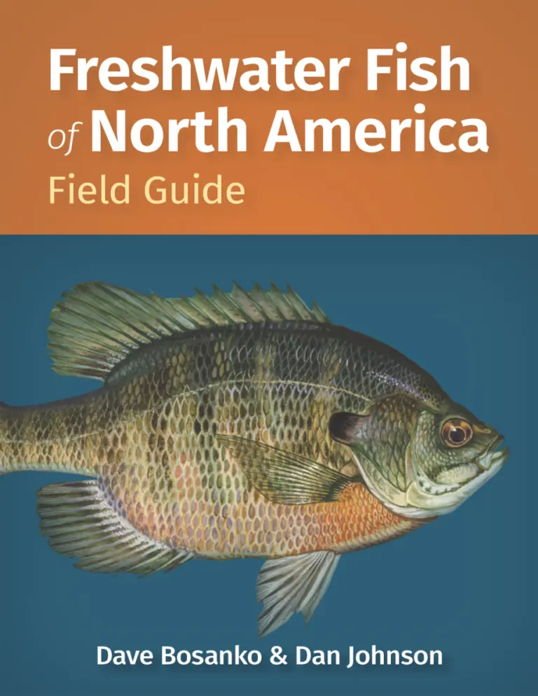 Freshwater Fish of North America Field Guide Dave Bosanko Kitap Kapağı