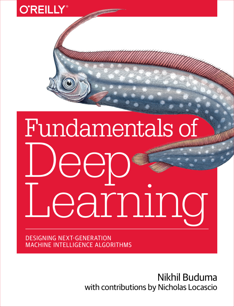 Fundamentals of Deep Learning Designing Kitap Kapağı