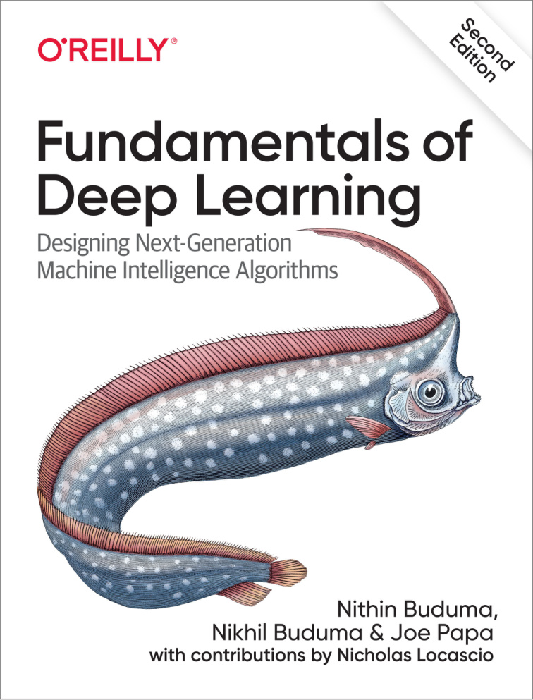 Fundamentals of Deep Learning Designing Next Generation Machine Kitap Kapağı