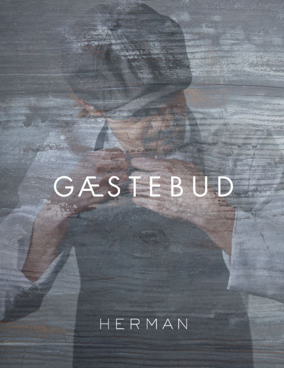 GAESTEBUD PDF Download