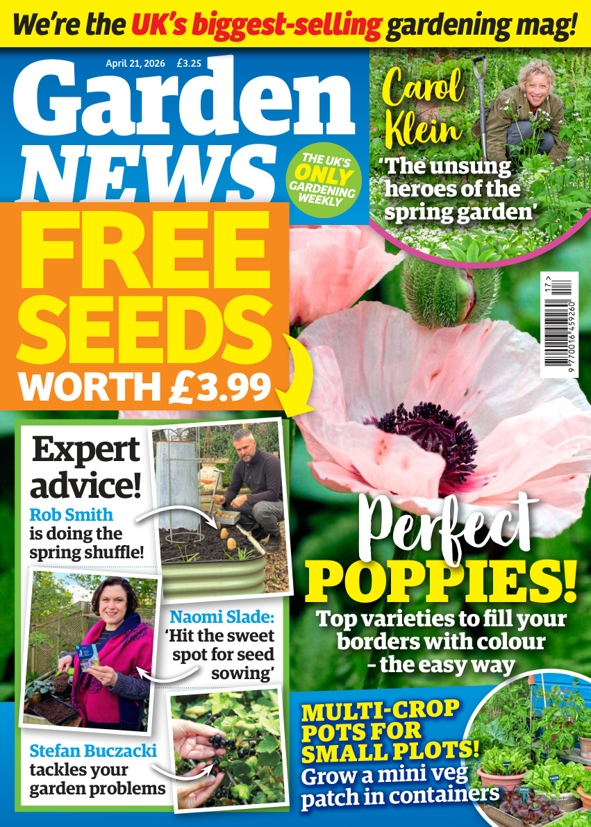 Garden News April 21 2026 Garden News Kitap Kapağı