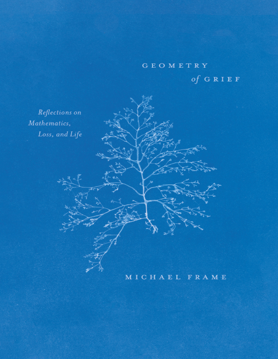Geometry of grief Reflections on Mathematics Loss and Life PDF Download