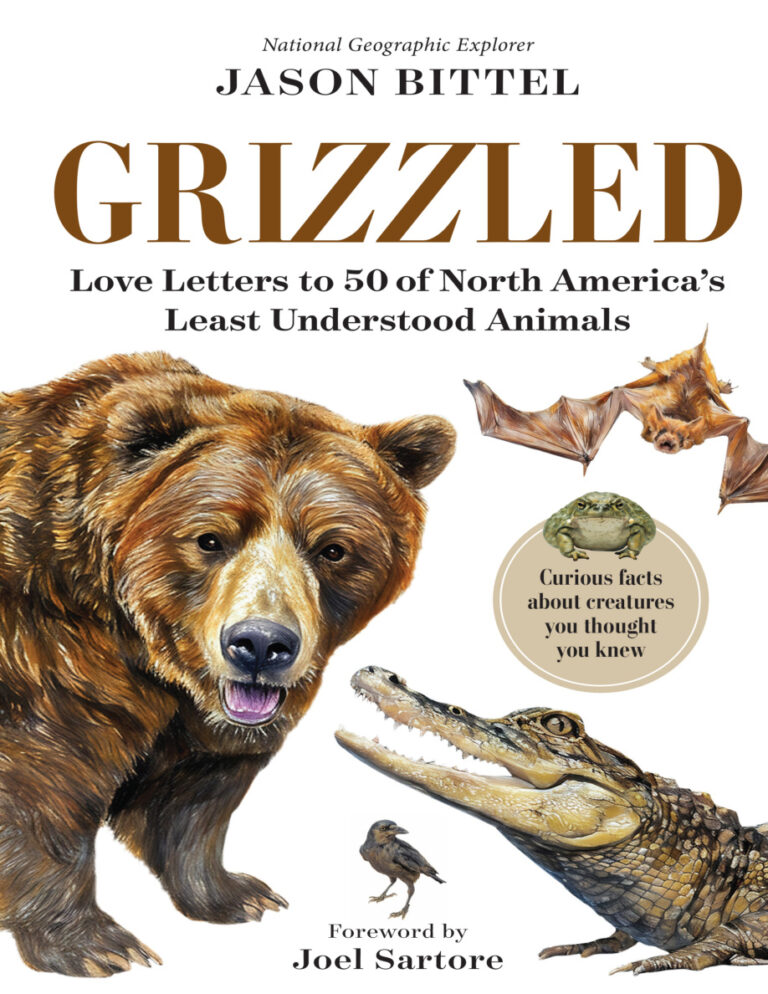 Grizzled Jason Bittel Kitap Kapağı