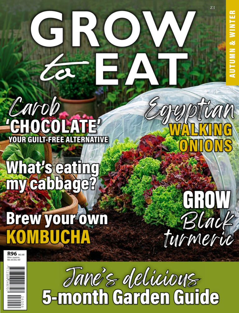 Grow to Eat AutumnWinter 2026 Grow to Eat Kitap Kapağı