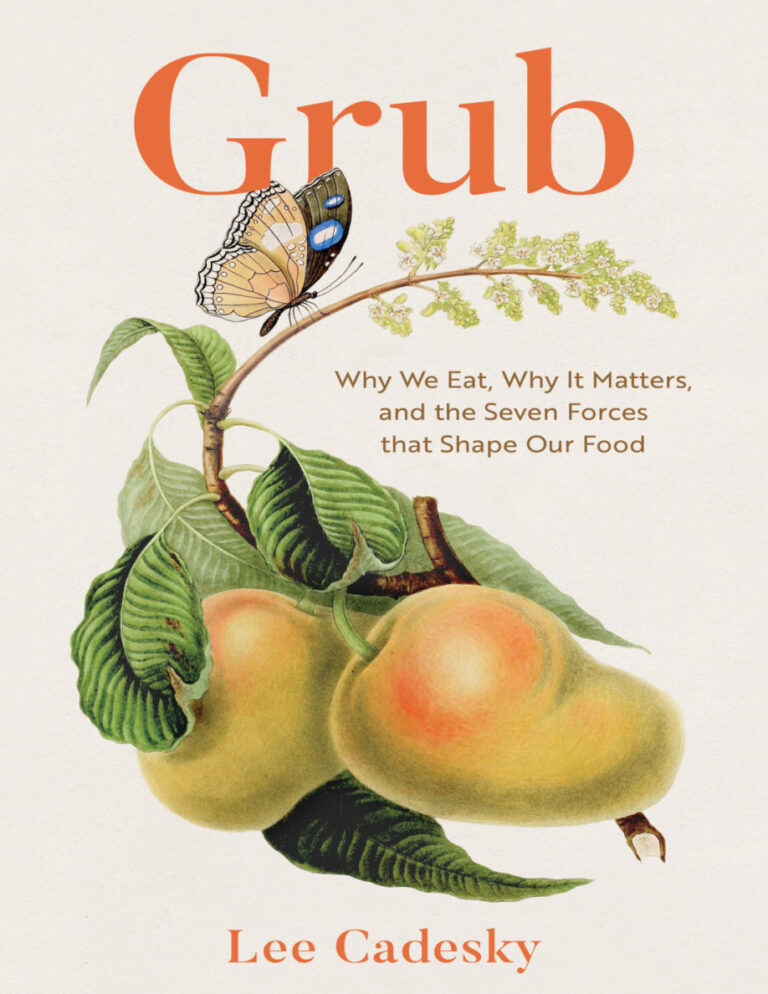 Grub Lee Cadesky Kitap Kapağı