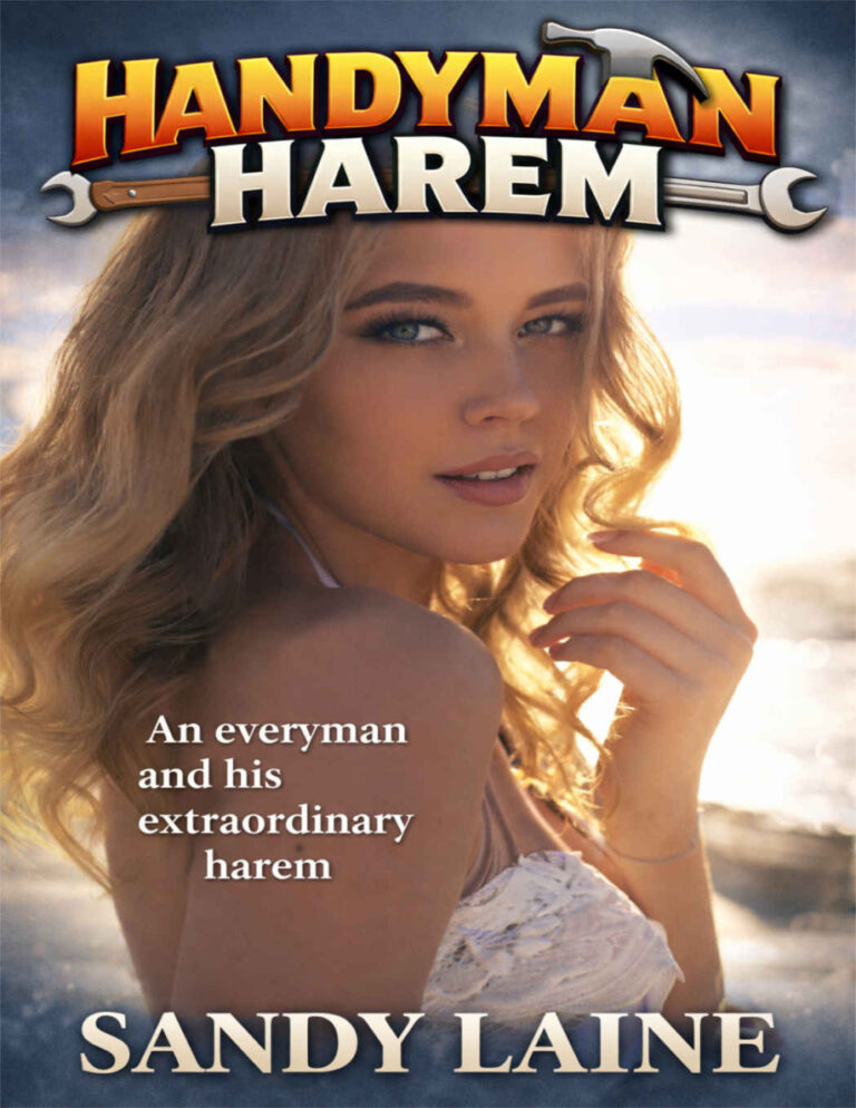 Handyman Harem Sandy Laine Kitap Kapağı
