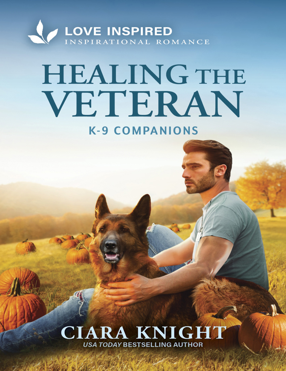 Healing the Veteran PDF Download