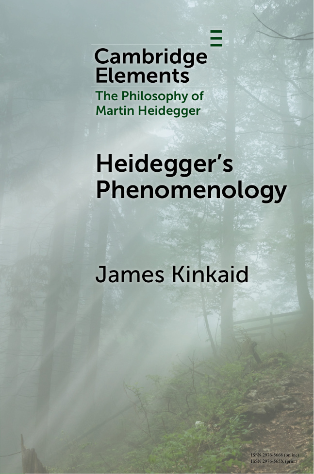Heidegger's Phenomenology PDF Download