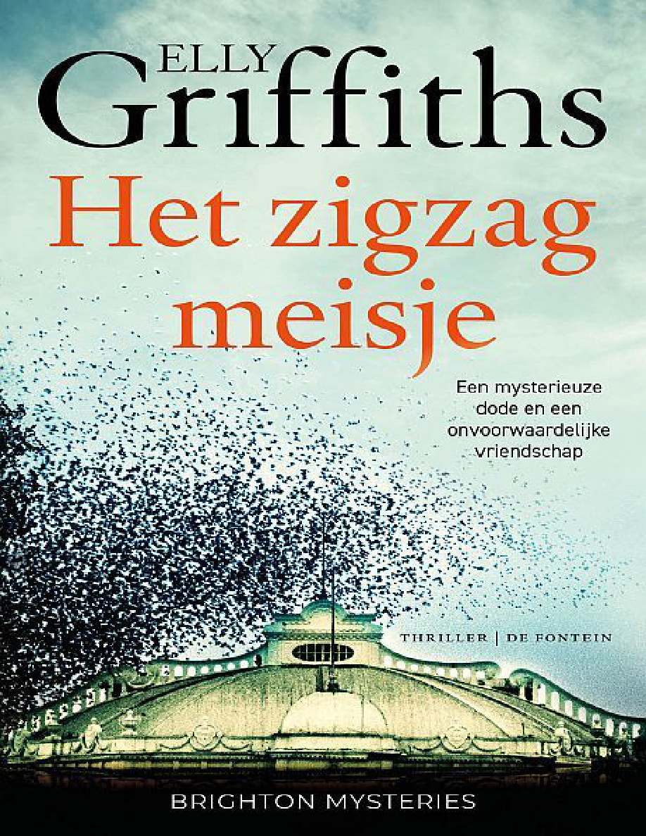 Het zigzagmeisje PDF Download