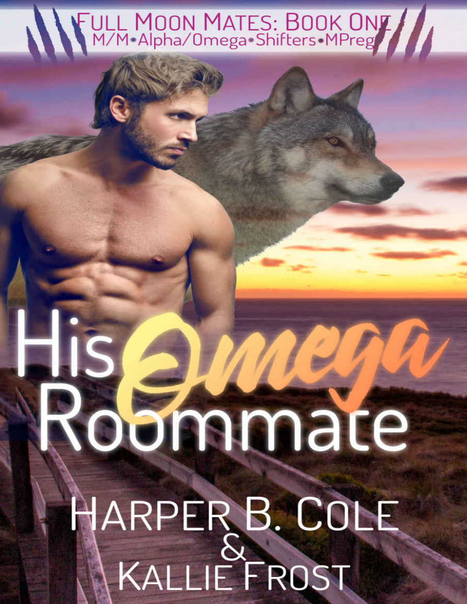 His Omega Roommate PDF Download
