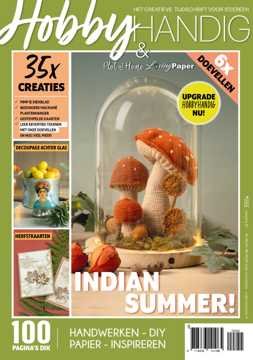 HobbyHandig Issue 255 2025 DUT HobbyHandig Kitap Kapağı