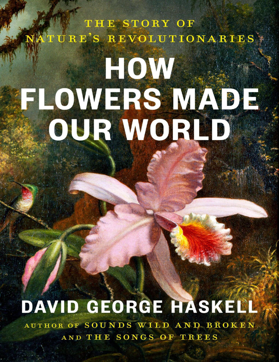 How Flowers Made Our World PDF Download